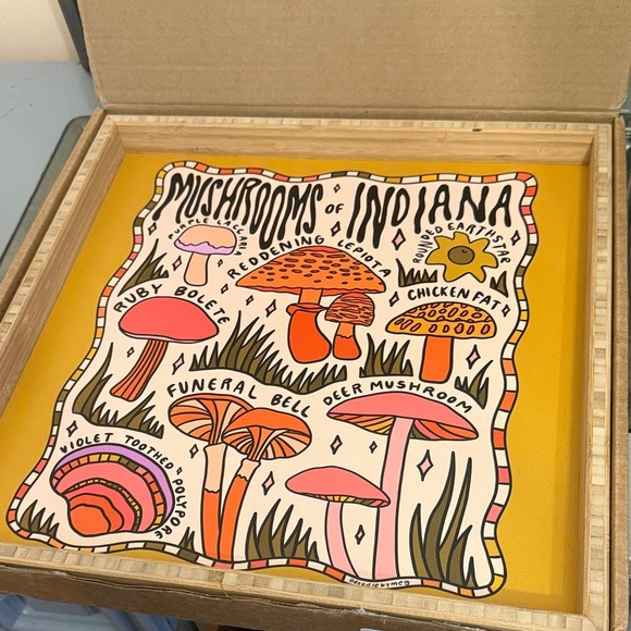 Mushrooms of Indiana by Doodle by Meg Framed Art Print Deny Designs Square Tray - Picture 2 of 7